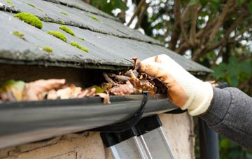 gutter cleaning Whinnieliggate, Dumfries And Galloway