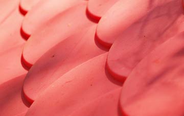 Whinnieliggate plastic roof costs