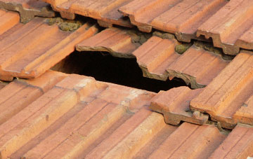 roof repair Whinnieliggate, Dumfries And Galloway