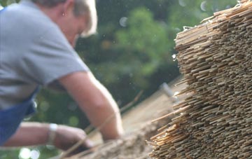 professional Whinnieliggate thatchers